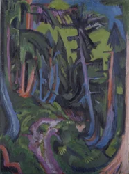 Sentiero nella foresta di montagna